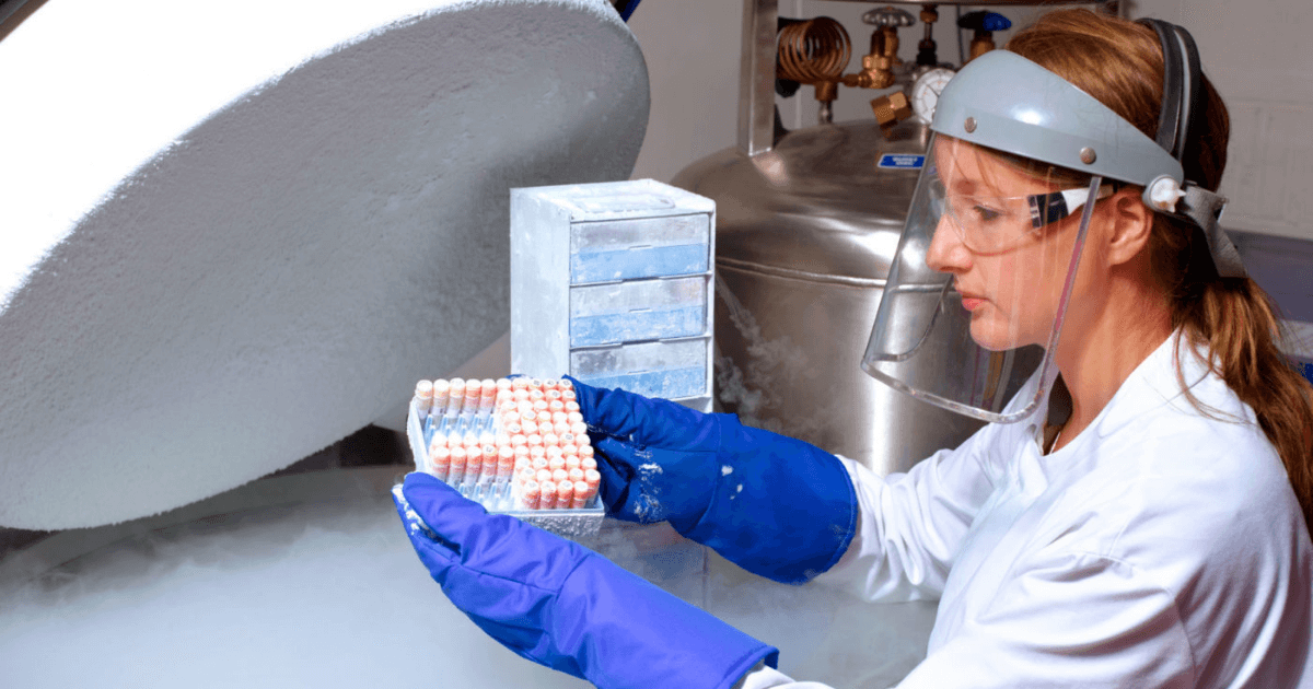 What is the cost of Embryo Cryopreservation