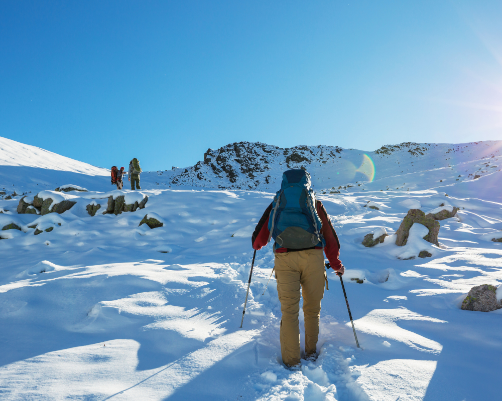 Top Reasons Why Chopta Chandrashila Trek Should Be on Your Bucket List